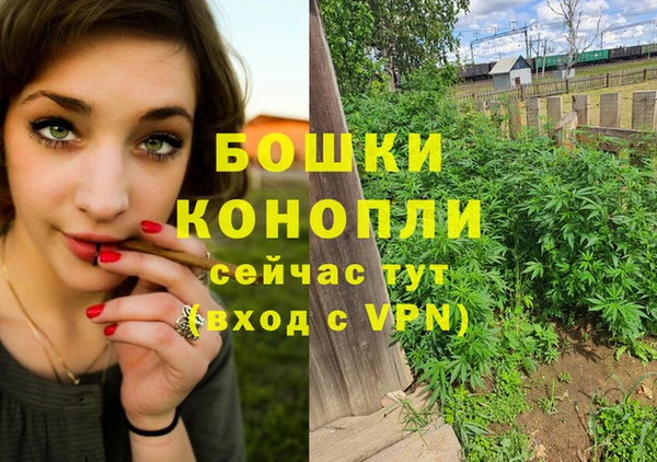 стафф Аркадак