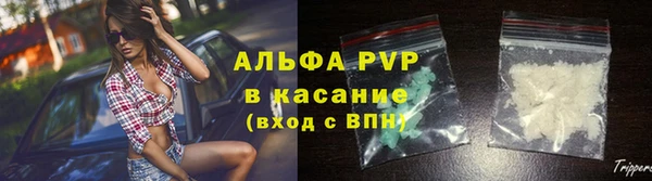 стафф Аркадак