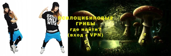 стафф Аркадак