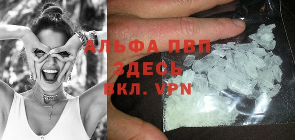 стафф Аркадак