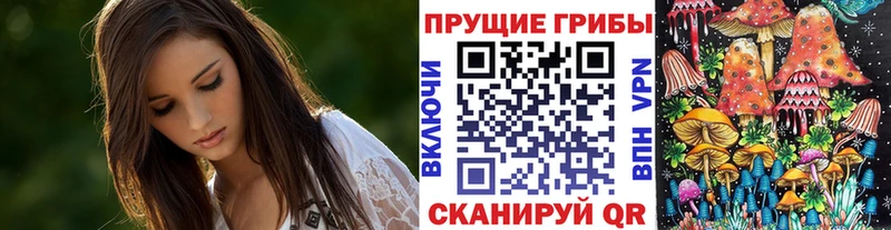 Псилоцибиновые грибы Psilocybe  закладки  darknet как зайти  Майский 